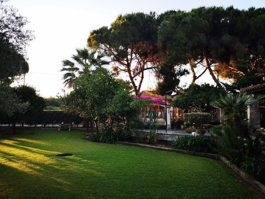 Villa Lena Entire Cottage Kalamaki  Exterior photo